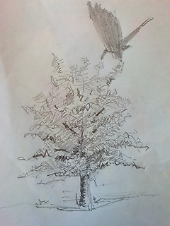 20090906090954.jpg